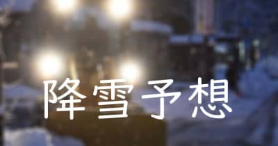 東京、神奈川、埼玉2月11日夜までに何cm雪降る?　気象台の予想降雪量、都内で警報級大雪恐れも