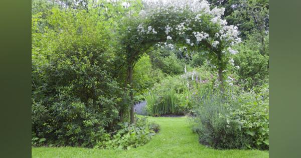 【ガーデニング】ホワイトガーデンにオススメの植物13選！白と緑の組み合わせがオシャレな庭づくり