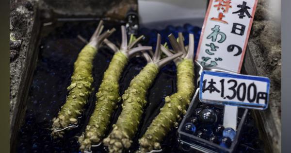「日本食に欠かせない“あの食材”が危機に瀕している」─米紙が見た日本の「ワサビ危機」