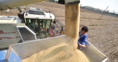 中国農業農村部、家畜飼料の輸入大豆依存度引き下げへ