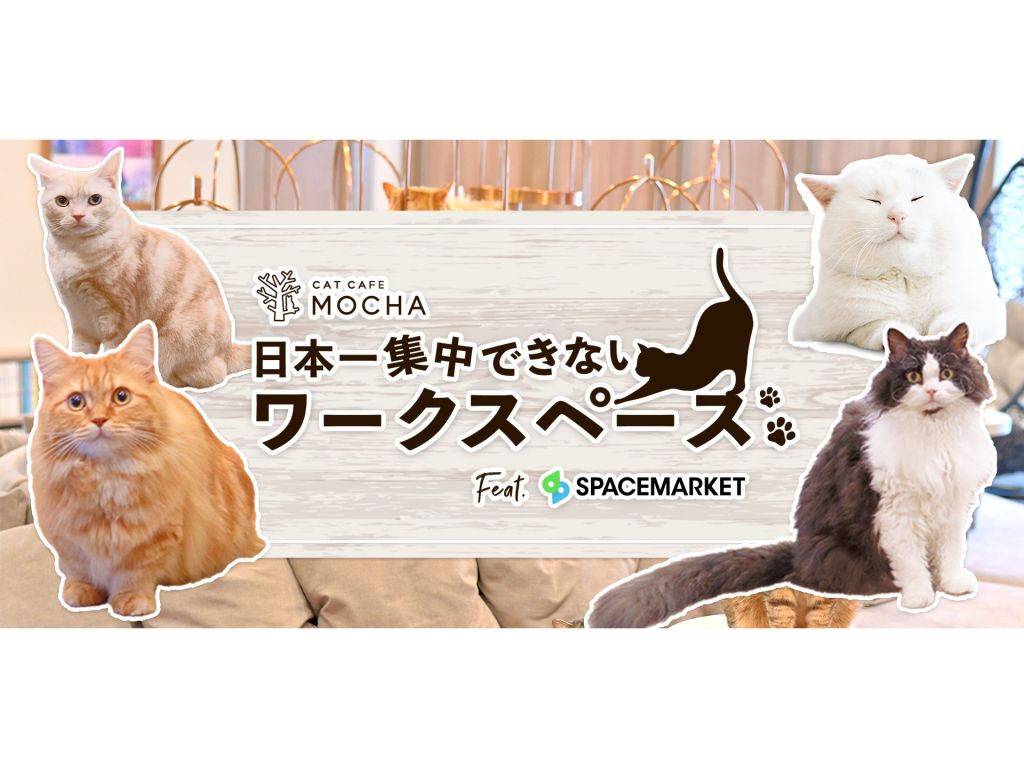 猫に仕事を邪魔される「日本一集中できないワークスペース」予約開始、スペースマーケットと猫カフェのリポットが連携