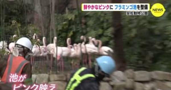 玄関口をピンクに　フラミンゴ池を整備　広島市安佐動物公園