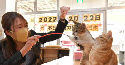 にゃんにゃんにゃん「猫の日」　保護猫と触れ合う　茨城　関鉄は記念乗車券