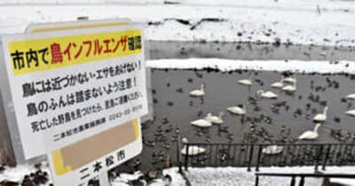 二本松で「鳥インフル」確認　福島県内1年ぶり、マガモ死骸から