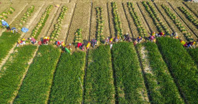 一足早く春の訪れ　農作業に励む中国各地の農家