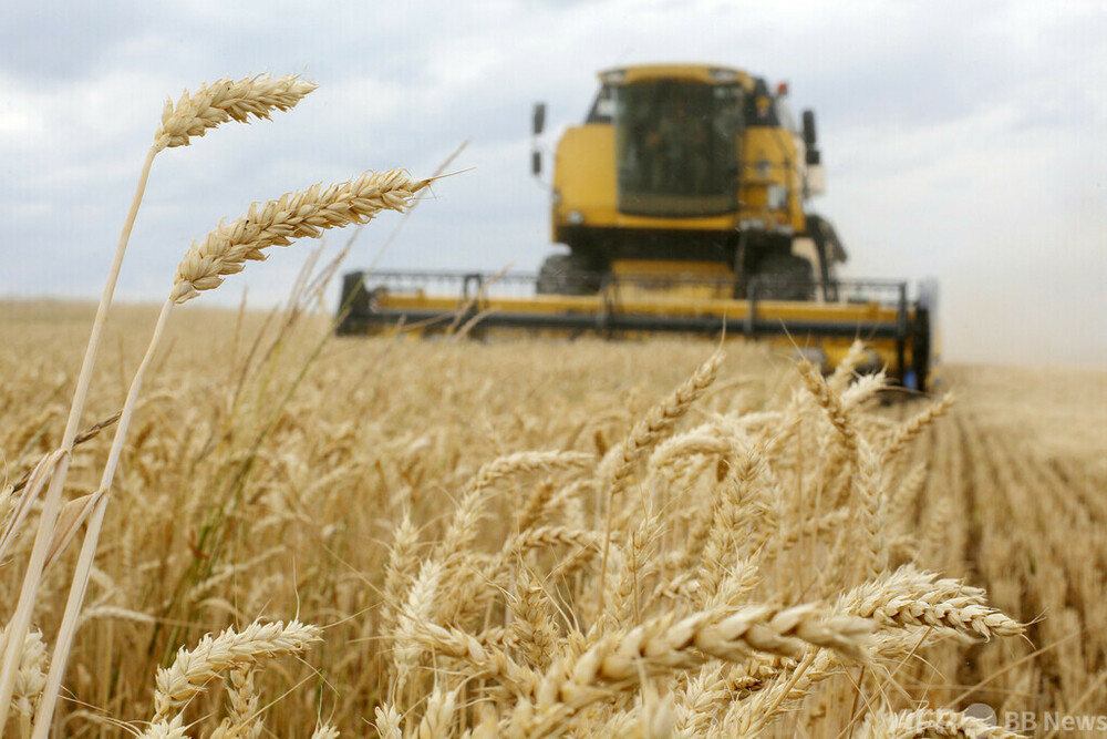 ウクライナ危機は小麦価格に大きな影響 世界の家計を圧迫 WTOトップ