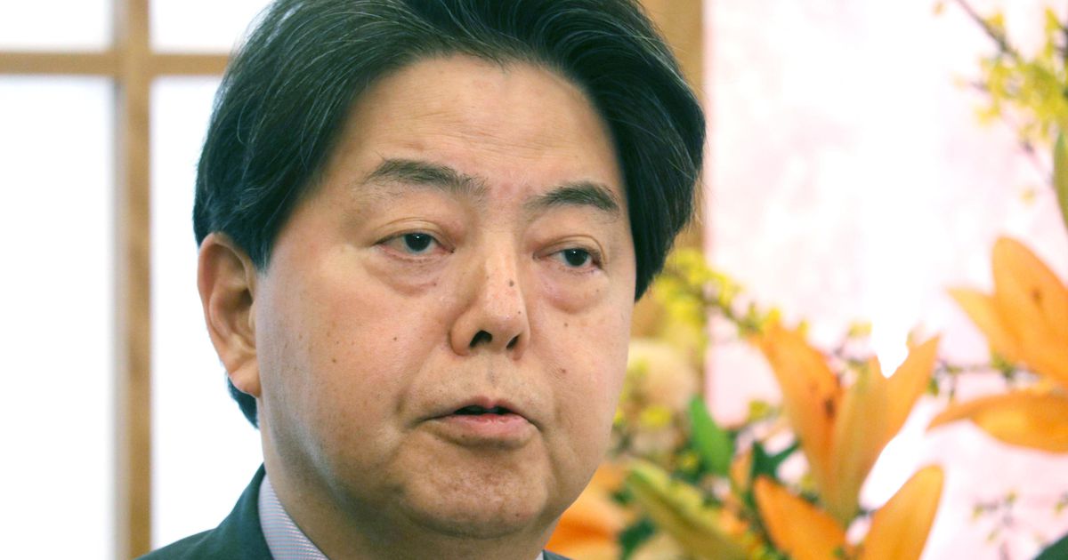 林外相が日本の追加制裁説明　Ｇ７会合