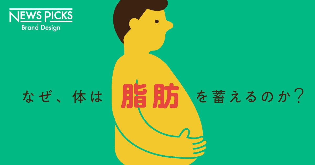 【解説】やさしく学ぶ、「体脂肪」との上手な付き合い方