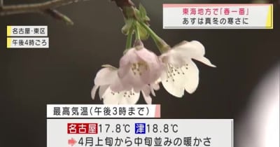 4月上旬から中旬並みの暖かさ東海地方で「春一番」名古屋地方気象台が発表