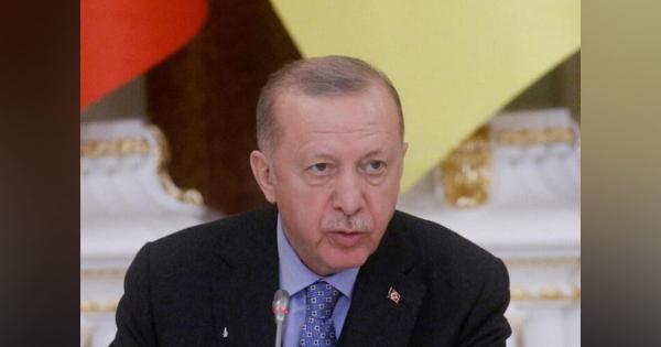 トルコ大統領「ウクライナ停戦・和平を」、プーチン氏と電話会談