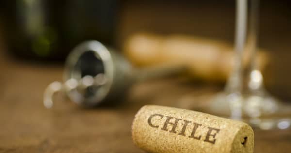 チリワイン市場、日常のちょっとした贅沢が味わえるプレミアムワインの需要が高まる