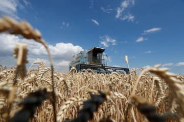 小麦輸入価格17％上昇　ウクライナ侵攻で一段高も