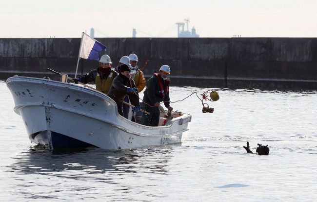 海藻のＣＯ２吸収量増へ　釧路港で実証実験開始