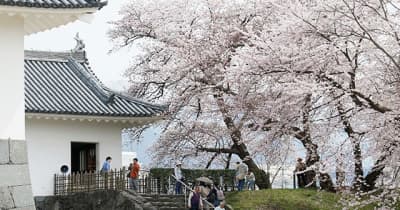 桜の開花予想、山形は4月6日　北日本は早め