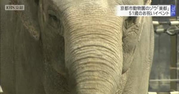 京都市動物園のゾウ「美都」51歳のお祝いイベント