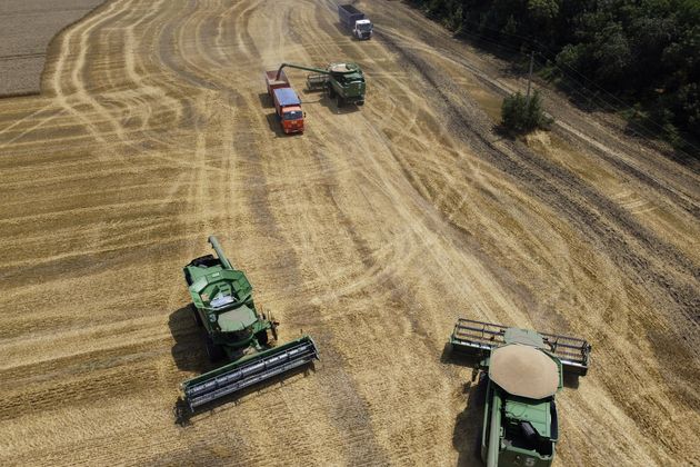 中東、アフリカで深刻な小麦不足の懸念　ロシア・ウクライナに大きく依存