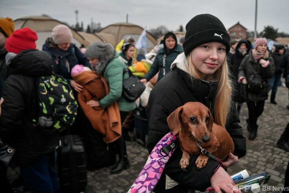 「置き去りにはできない」 ペットと避難するウクライナ難民