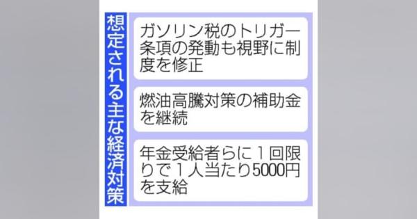 経済対策、トリガー発動も検討　年金受給者に5000円給付