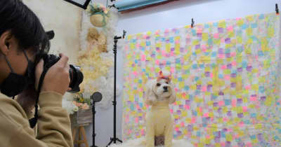 愛犬かわいく撮って動物愛護　壬生のスタジオ、収益を全額寄付