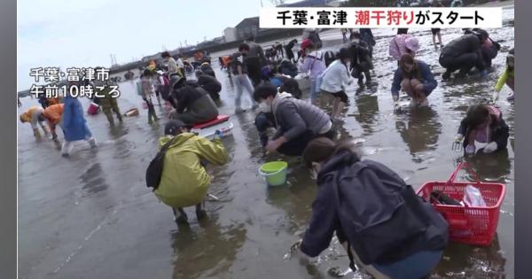 千葉・富津市で潮干狩り始まる 例年10万人以上が来場