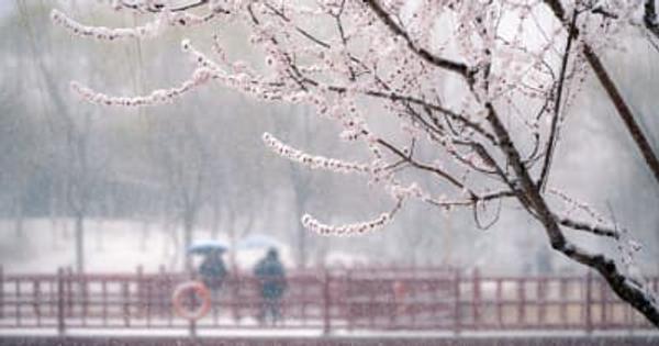北京で降雪