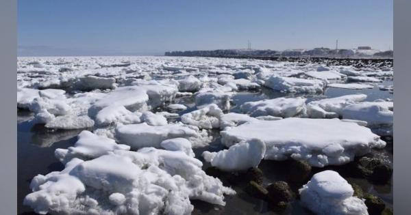 浜中町で沿岸覆う流氷　ウニ養殖施設やコンブ漁場に被害懸念