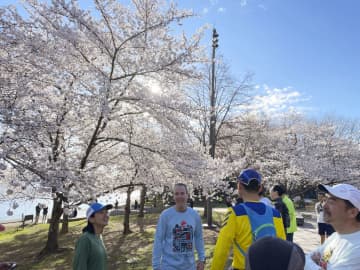 米ワシントンで桜祭り始まる　3年ぶり本格開催