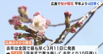 広島で桜が開花　平年より４日早く　広島地方気象台
