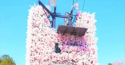 江戸庭園きょうプレオープン　桜タワー公開　三重の伊勢忍者キングダム