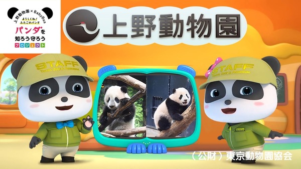 ベビーバスと上野動物園コラボ「双子のパンダ成長動画」無料公開
