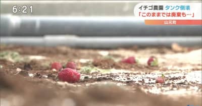 山元のイチゴ農園　地震被害【宮城】