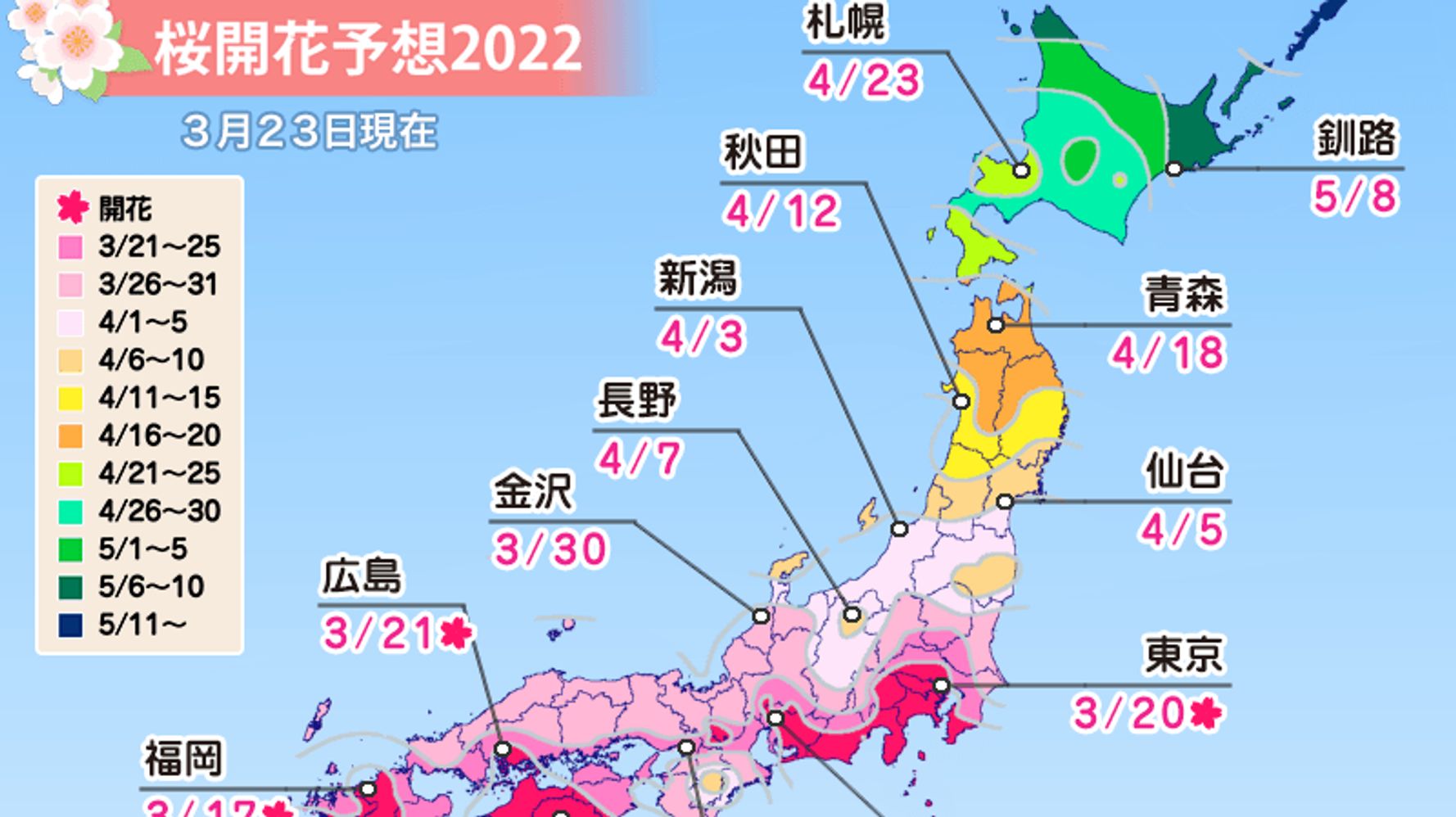 【桜開花予想】来週は満開ラッシュに。西日本や東日本で続々と