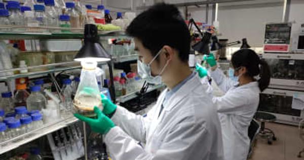 中国科学院海洋研究所、プラスチックを「食べる」海生菌類発見