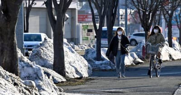 青森、弘前　積雪ゼロ　3月、雪解け進む　酸ケ湯は368cm