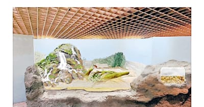 天王寺動物園　爬虫類生態館補修でCF