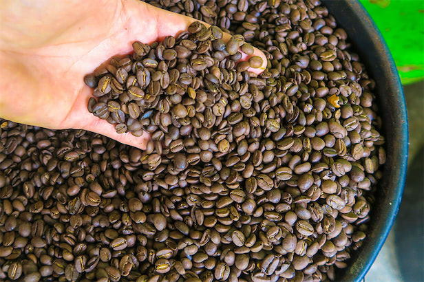 麹とコーヒーかすで目指す循環型経済、静岡発「ソーイ」の取り組み