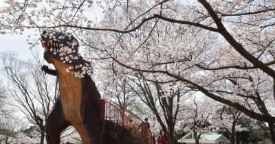 恐竜と桜〝共演〟　茨城・坂東の八坂公園　家族に笑顔