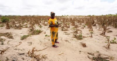 アフリカの角、干ばつで1300万人が深刻な食料危機に直面