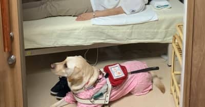 日本盲導犬協会、盲導犬ユーザー受け入れ拒否の実態を報告