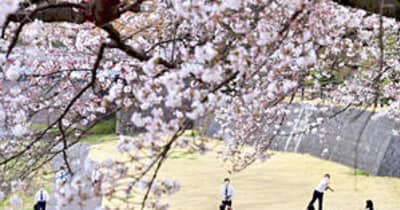 福島県内「ぽかぽか」陽気に　福島・阿武隈川河畔で桜咲き始め