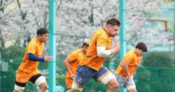 ラグビー・リーグワン　東京ベイ・ラブスカフニが負傷から復帰「楽しみにしている」