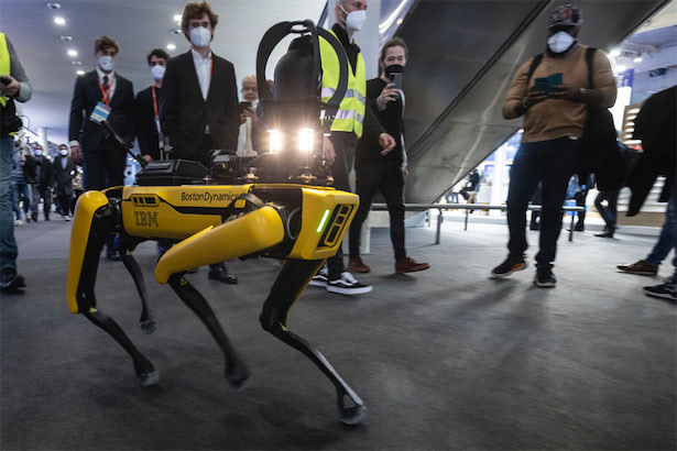 イタリア・ポンペイ遺跡の警備　犬型ロボットを採用