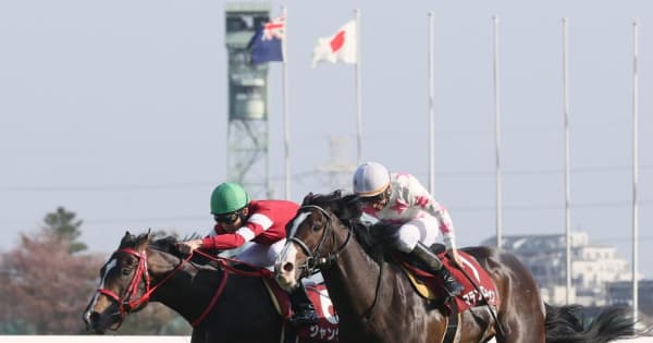 【ニュージーランドT】“ウマ娘”藤田晋オーナーの所有馬ジャングロが重賞初制覇