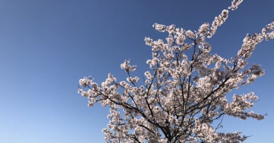 福井県内の4月10日は夏日予想.9日も気温上昇、各地で今年最高