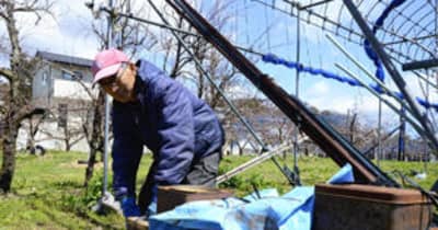 凍霜対策「今年こそ」　福島県内農家、寒暖差に備え