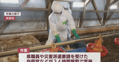 鳥インフルエンザ発生の青森・横浜町の養鶏場　青森県がニワトリの殺処分を進める