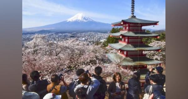 富士山と桜、絶景が見頃　山梨・新倉山浅間公園