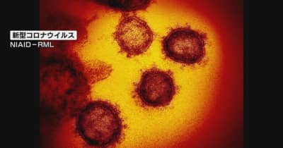 【速報】新潟県で５００人程度　新規感染者見込み　新型コロナウイルス
