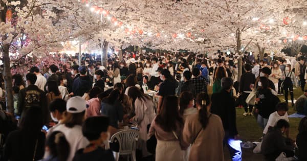 仙台の桜満開、花見客で西公園大混雑　出店ずらり、大声で酔客はしゃぐ