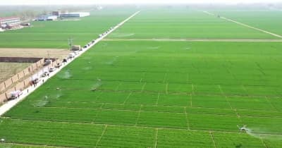 ドローン100機で農薬散布、病虫害に統一的な対策　河北省景県
